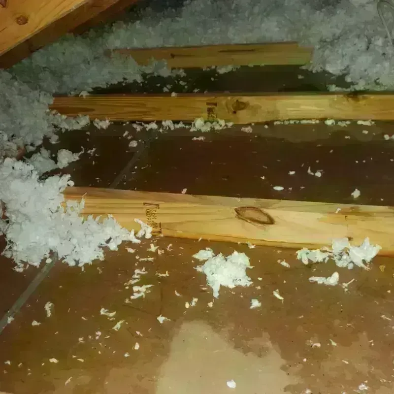 Attic Water Damage in East Missoula, MT